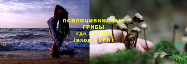 крисы Липки
