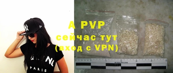 крисы Липки