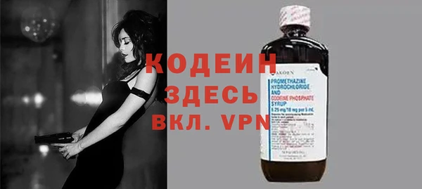 крисы Медвежьегорск