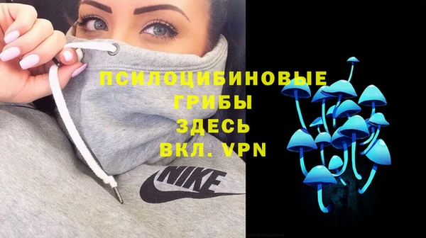 трава Нижневартовск
