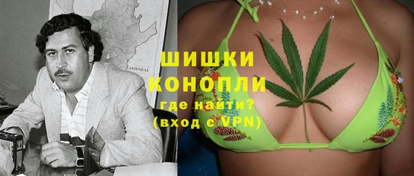 крисы Липки