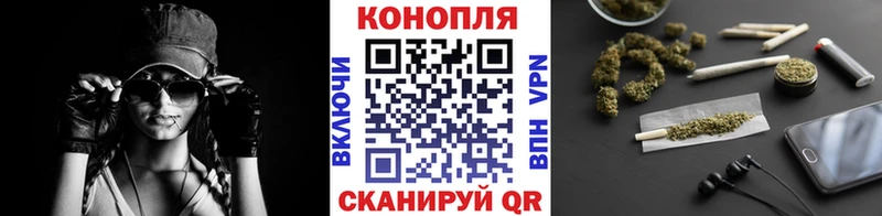 Купить где  Кизляр  Бошки Шишки индика 
